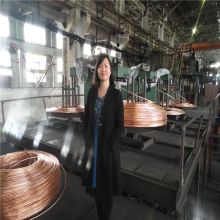  晋州市博雅工艺礼品厂 主营 紫铜工艺品摆件,紫铜