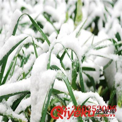 深圳市耀德圣科技 专业白雪粉与装饰材料解决方案